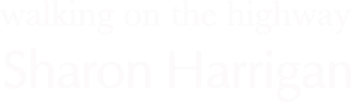 Walking on the Highway by Sharon Harrigan