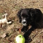 mittens with ball