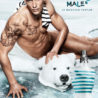 Naked Perfume Hunk: Meet Naked Handbag Babe